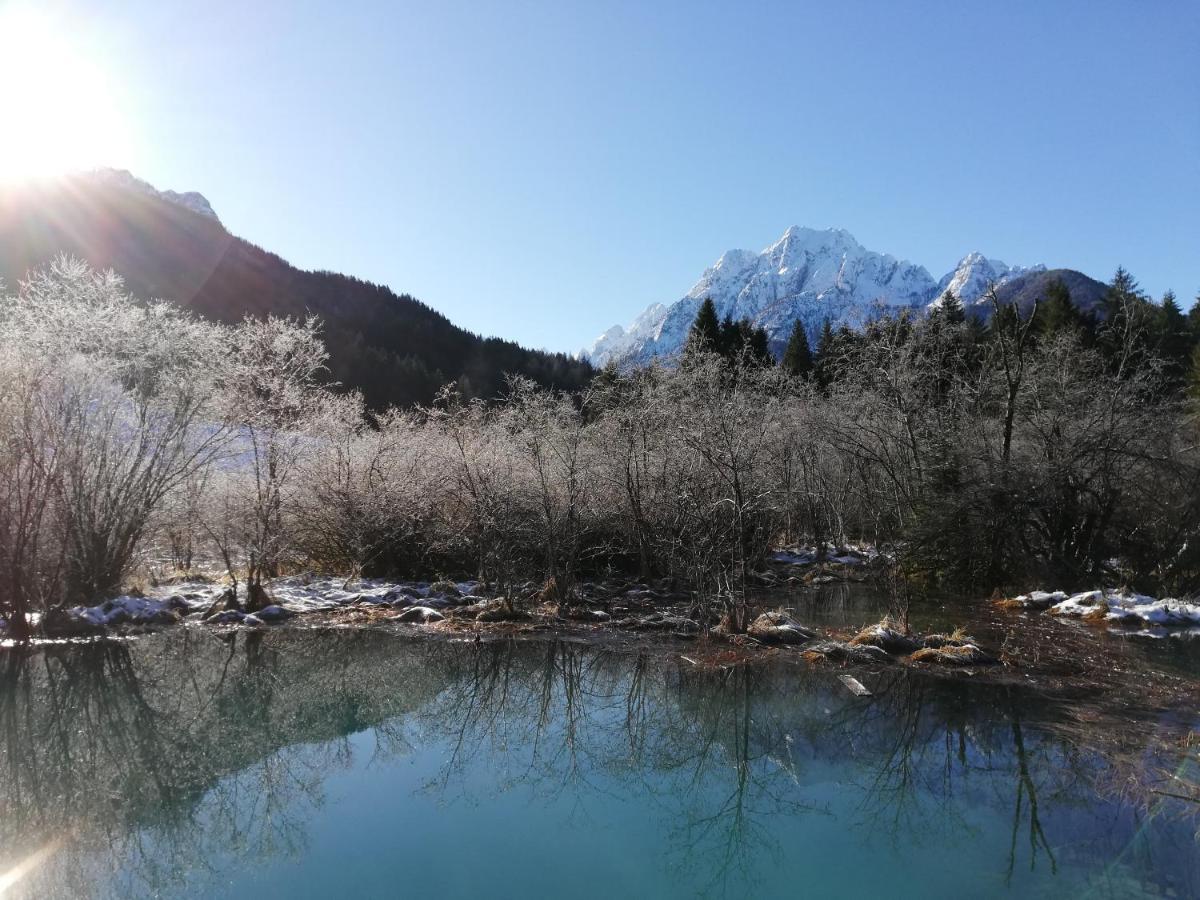 Apartment Jakelj Kranjska Gora Eksteriør bilde