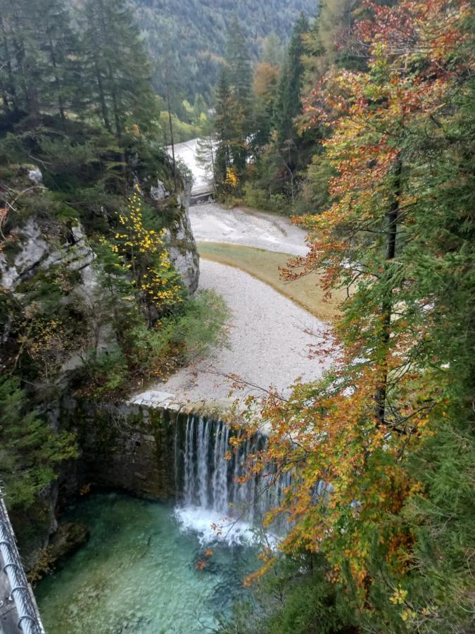 Apartment Jakelj Kranjska Gora Eksteriør bilde